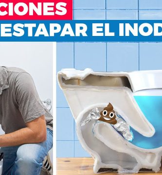 atasco persistente en inodoro causas habituales