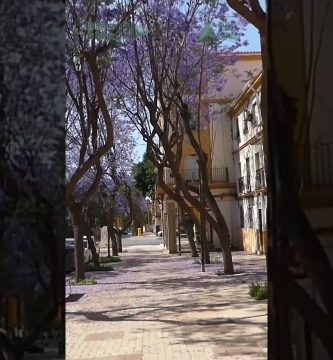 evaluación de raíces invasivas