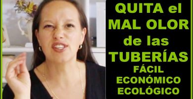 higienización de sifones domésticos