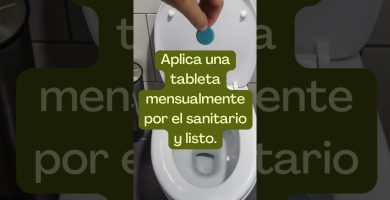 mantenimiento con bacterias activas