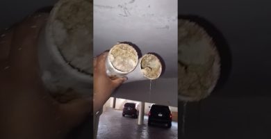 tapón de grasa solidificada en fregadero